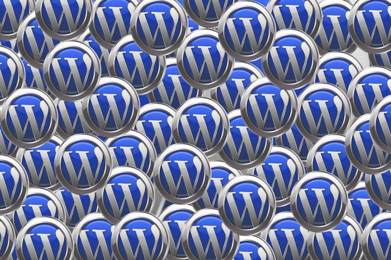 What is a WordPress Website?